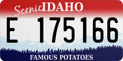 ID license plate E175166