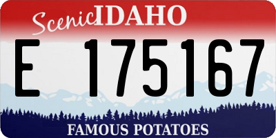 ID license plate E175167