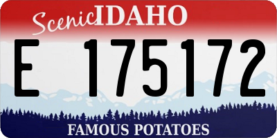 ID license plate E175172