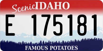 ID license plate E175181
