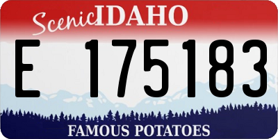 ID license plate E175183