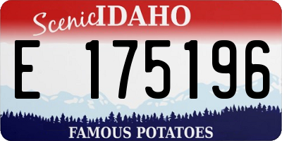 ID license plate E175196