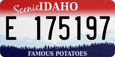 ID license plate E175197