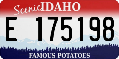 ID license plate E175198
