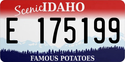 ID license plate E175199