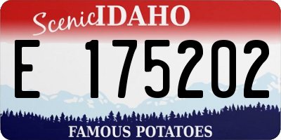 ID license plate E175202