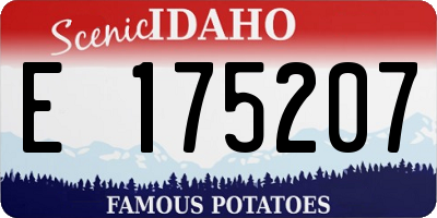 ID license plate E175207