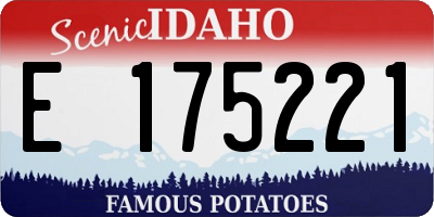 ID license plate E175221