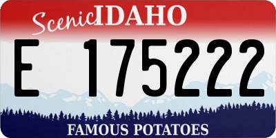 ID license plate E175222