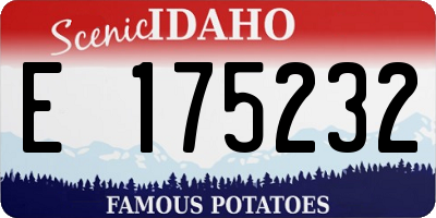 ID license plate E175232