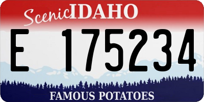 ID license plate E175234