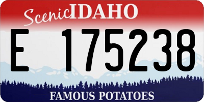 ID license plate E175238