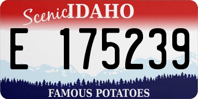 ID license plate E175239