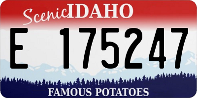 ID license plate E175247