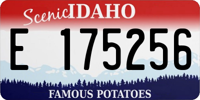 ID license plate E175256