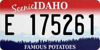 ID license plate E175261