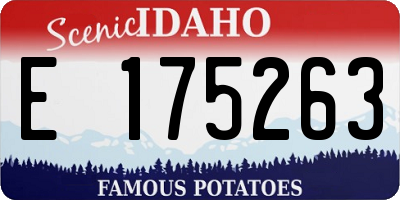 ID license plate E175263