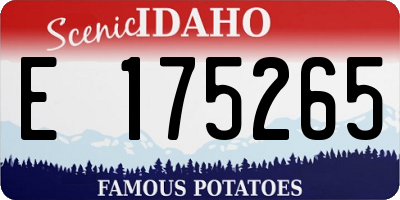 ID license plate E175265