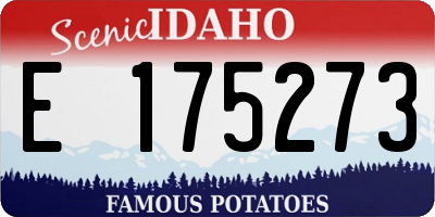 ID license plate E175273