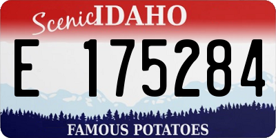 ID license plate E175284