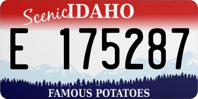 ID license plate E175287