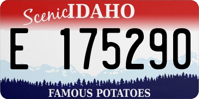 ID license plate E175290