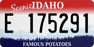 ID license plate E175291