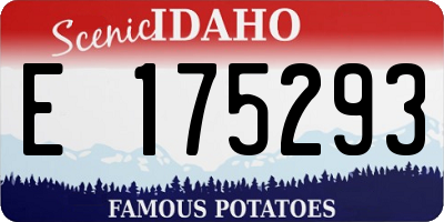 ID license plate E175293