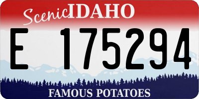 ID license plate E175294