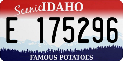 ID license plate E175296