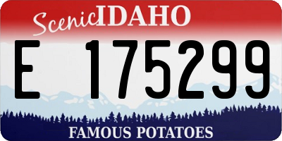 ID license plate E175299