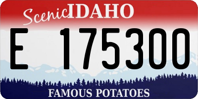 ID license plate E175300