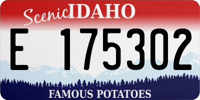 ID license plate E175302