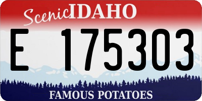 ID license plate E175303