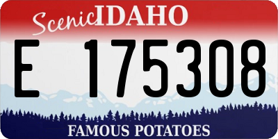 ID license plate E175308