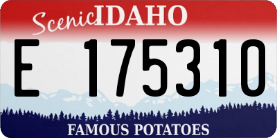 ID license plate E175310