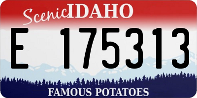 ID license plate E175313