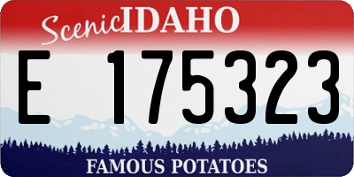 ID license plate E175323