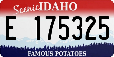 ID license plate E175325