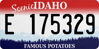 ID license plate E175329