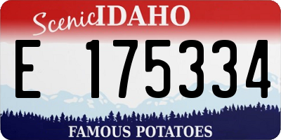 ID license plate E175334