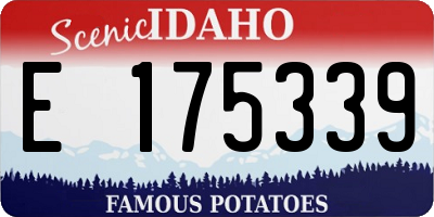 ID license plate E175339