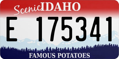 ID license plate E175341