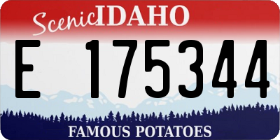 ID license plate E175344