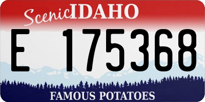 ID license plate E175368