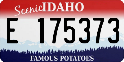ID license plate E175373