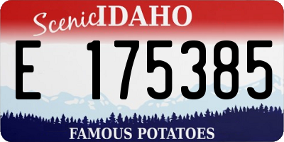 ID license plate E175385