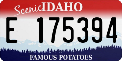 ID license plate E175394