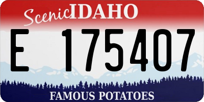 ID license plate E175407