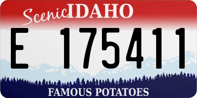 ID license plate E175411